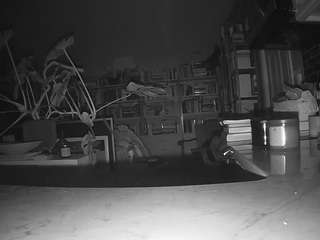 voyeurcam bridgetleewalters 02